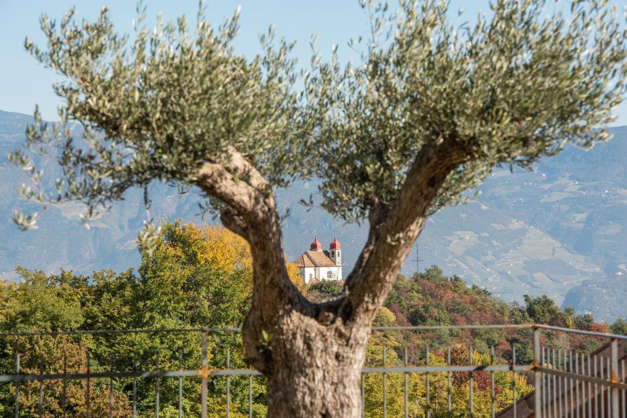 Nofnerhof Apartment Appiano Sulla Strada Del Vino Exterior photo