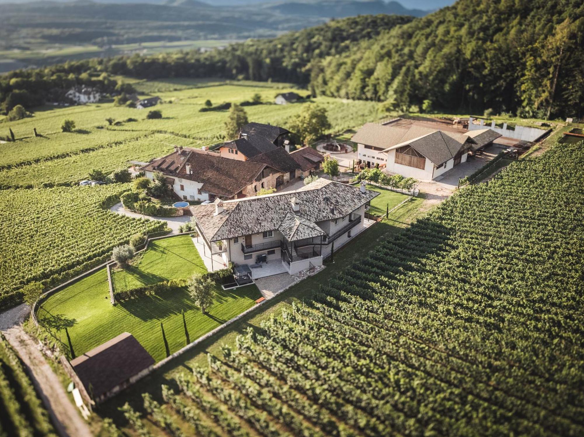 Nofnerhof Apartment Appiano Sulla Strada Del Vino Exterior photo